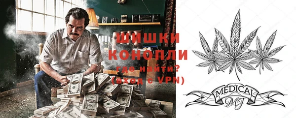 ECSTASY Няндома
