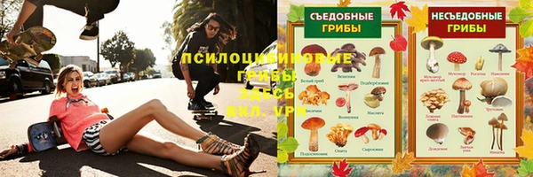 MDMA Premium VHQ Нязепетровск