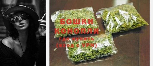 бошки Алексин