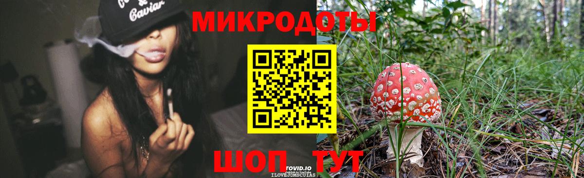 где найти   Псилоцибиновые грибы мухоморы  Вход с VPN  Кудрово 