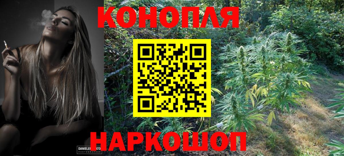 Шишки марихуана план Кудрово